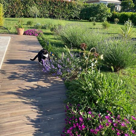 La Rosela De La Cite Bed and Breakfast Palaja Εξωτερικό φωτογραφία