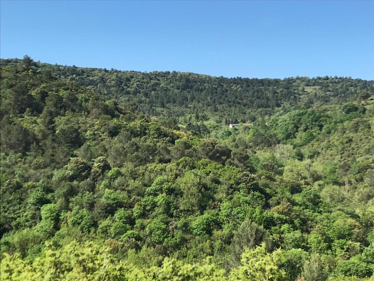 La Rosela De La Cite Bed and Breakfast Palaja Εξωτερικό φωτογραφία