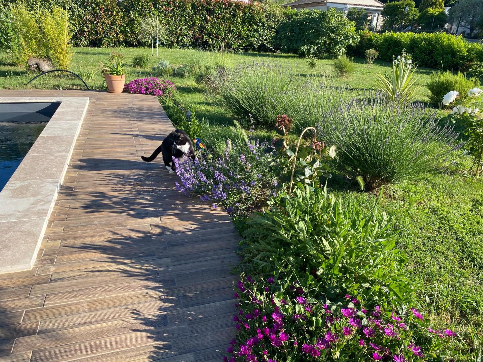 La Rosela De La Cite Bed and Breakfast Palaja Εξωτερικό φωτογραφία